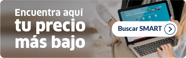 Buscador SMART